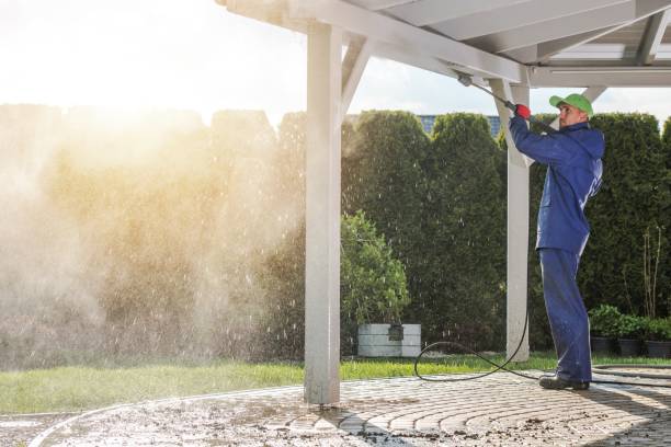 Best Solar Panel Cleaning  in Phelan, CA